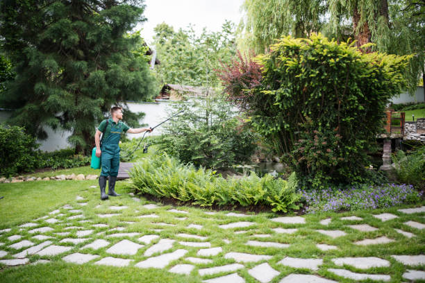 Best Commercial Pest Control Services  in Lavalette, WV