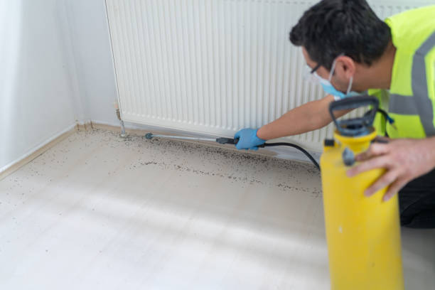 Best Best Pest Control Companies  in Lavalette, WV